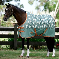 Light Middleweight Turnout Rugs