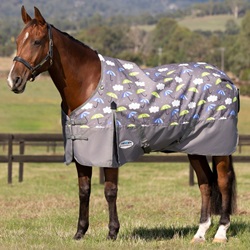 Summer Turnout Rugs