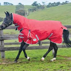 Weatherbeeta ComFiTec Classic Combo Lite Turnout Rug Red/Silver/Navy 