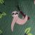 Weatherbeeta Fleece Cooler Sloth Print 